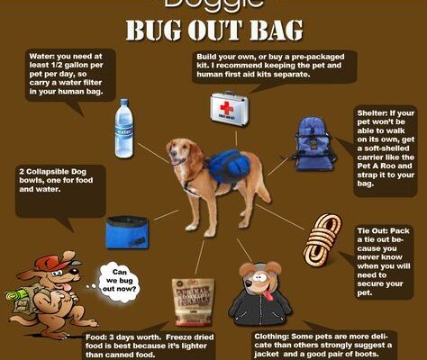 bug out bag